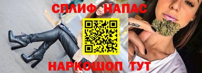 стафф Дубна