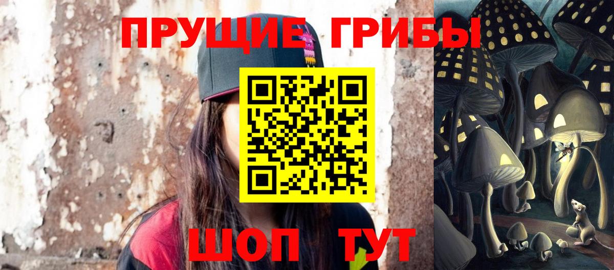 Псилоцибиновые грибы мицелий  хочу   Кохма  Вход с VPN 