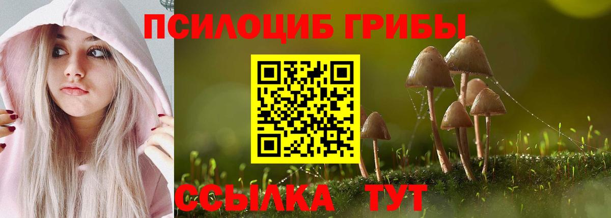 Псилоцибиновые грибы ЛСД Кохма